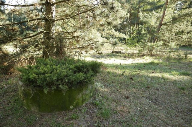 Działka budowlana Nekielka, ul. Kwiatowa. Zdjęcie 6