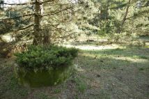 Działka budowlana Nekielka, ul. Kwiatowa. Zdjęcie 4
