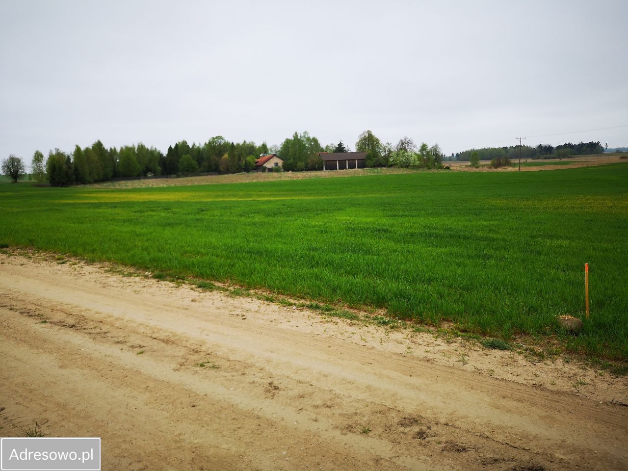 Działka rolna Tałty. Zdjęcie 2