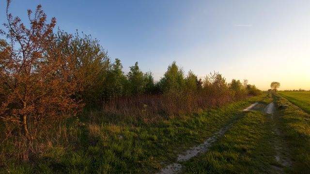 Działka rolno-budowlana Wygoda Smoszewska. Zdjęcie 1