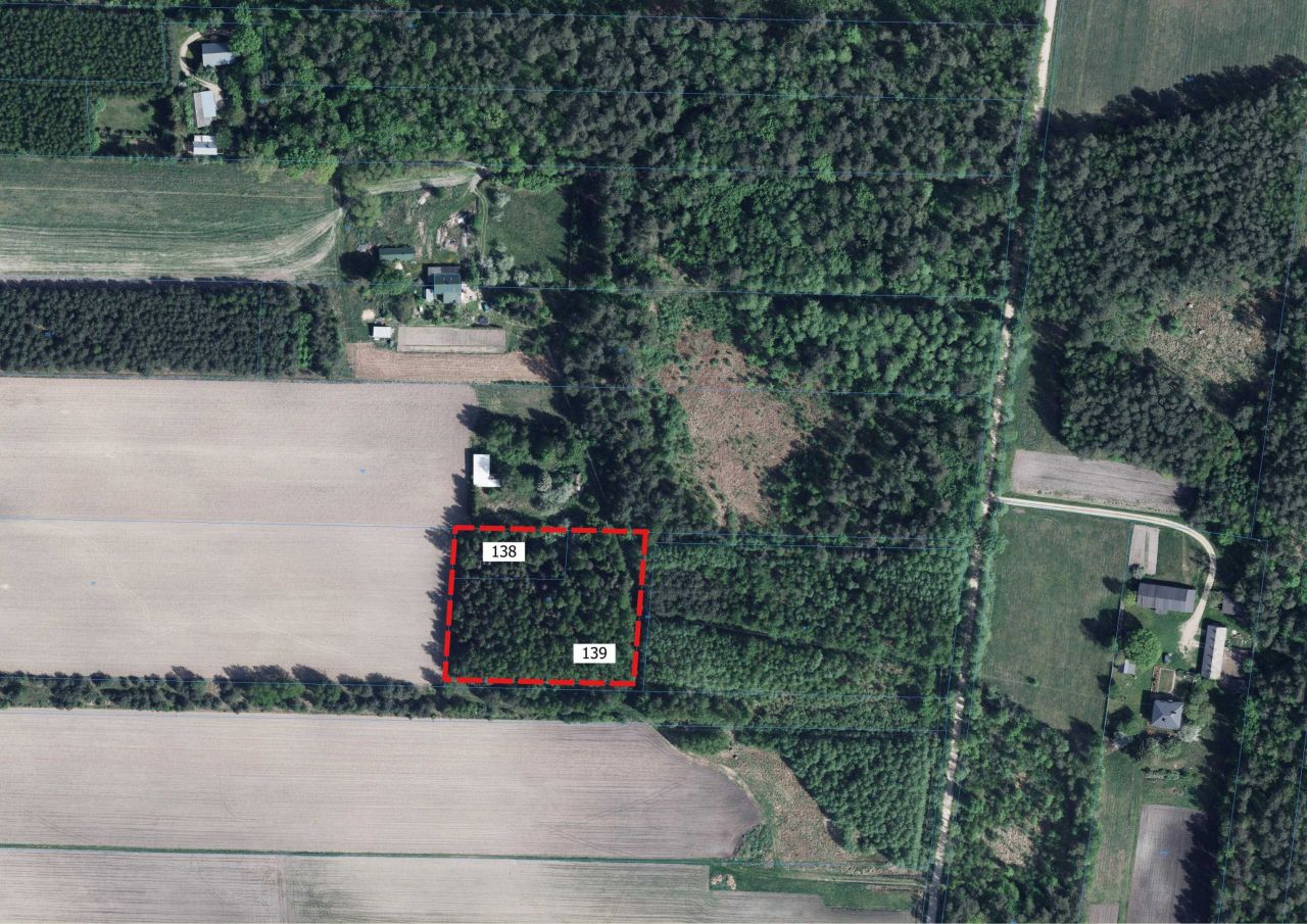 Działka budowlana Lisy. Zdjęcie 2