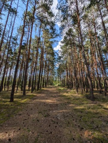 Działka rekreacyjna Sobota. Zdjęcie 1