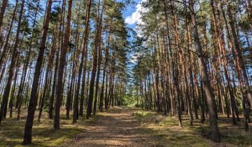 Działka rekreacyjna Sobota