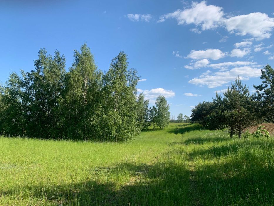 Działka rolno-budowlana Rydzewo, ul. Brzozowa. Zdjęcie 4