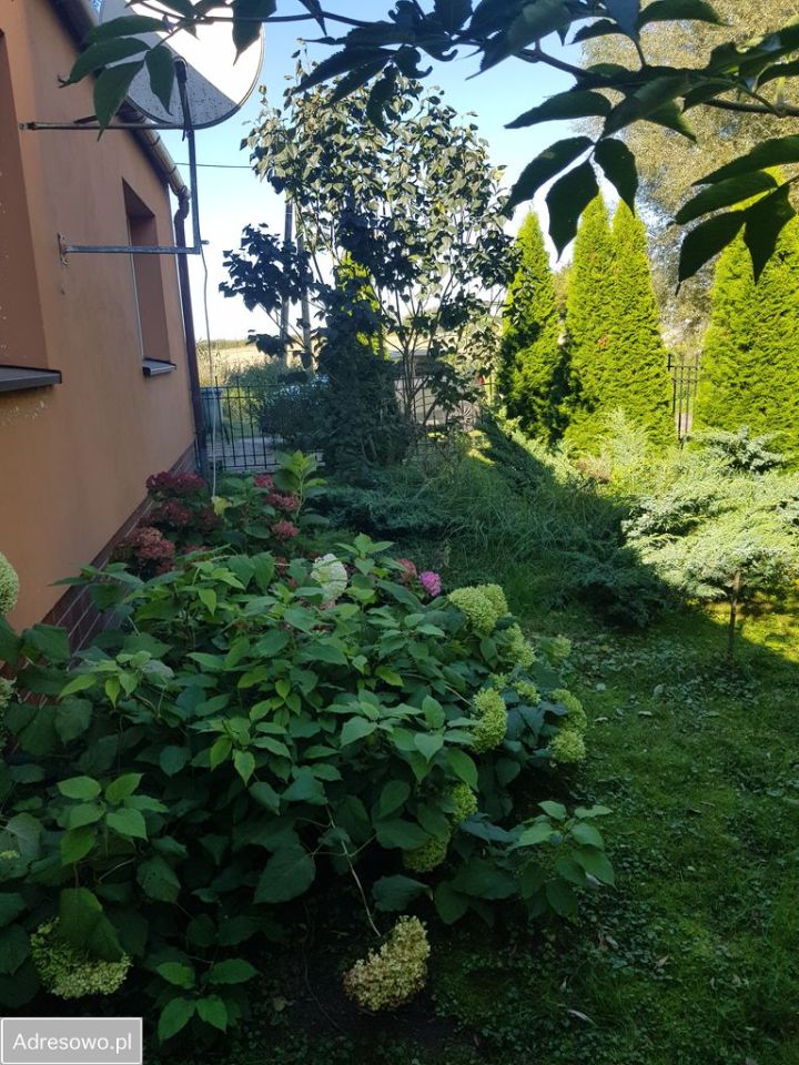 gospodarstwo, 3 pokoje Głazów. Zdjęcie 2