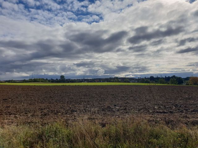 Działka budowlana Przyjaźń, ul. Łąkowa. Zdjęcie 5