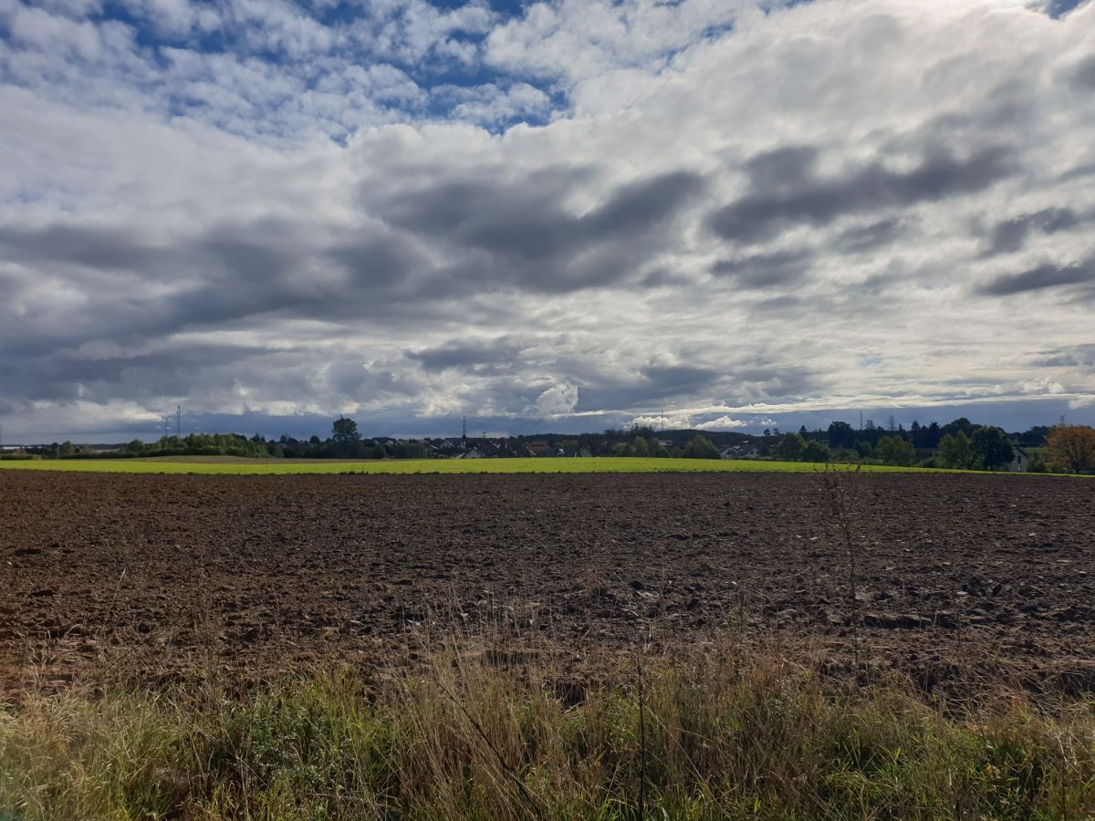Działka budowlana Przyjaźń, ul. Łąkowa. Zdjęcie 5