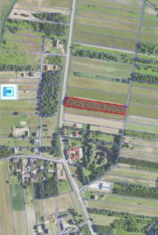 Działka budowlana Sarzyna. Zdjęcie 1