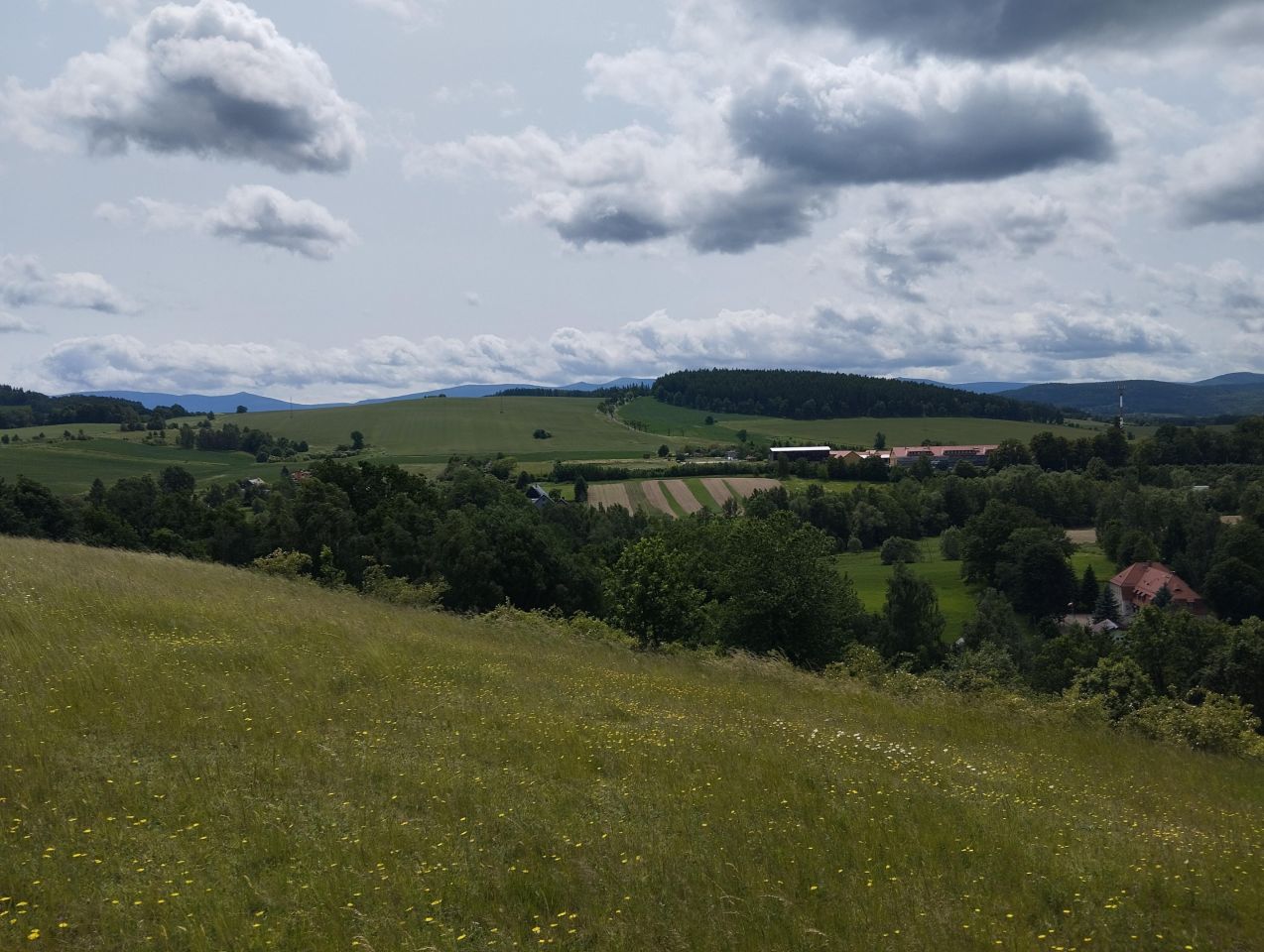 Działka siedliskowa Rybnica. Zdjęcie 2