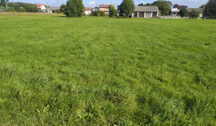 Działka rolno-budowlana Kaszewice