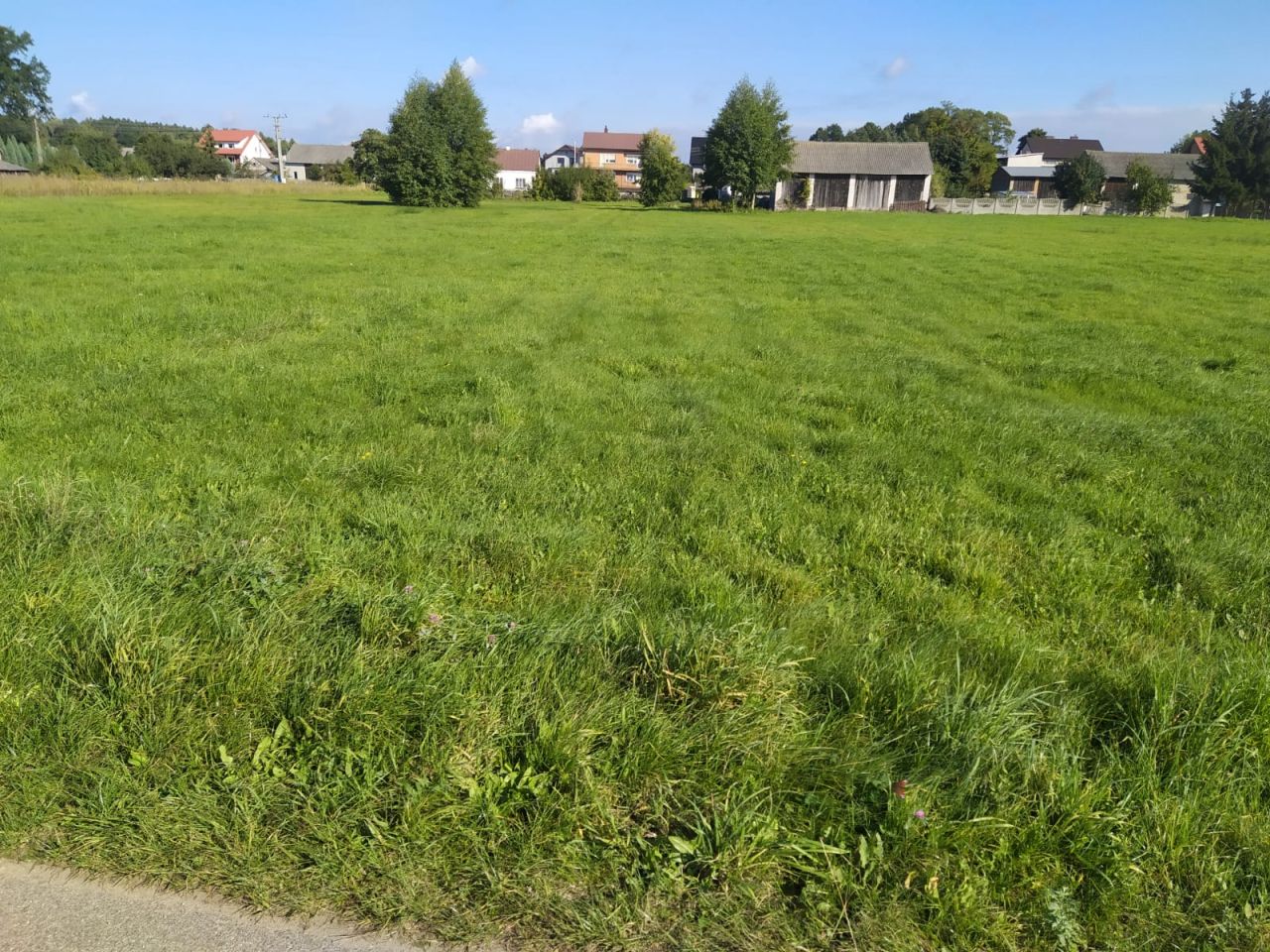 Działka rolno-budowlana Kaszewice. Zdjęcie 1