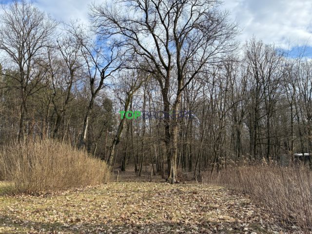 Działka budowlana Józefów. Zdjęcie 2