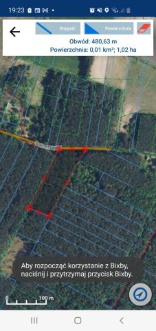 Działka leśna Wierzbica. Zdjęcie 1