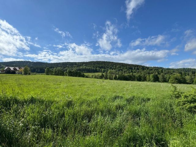 Działka budowlana Stronie Śląskie. Zdjęcie 3