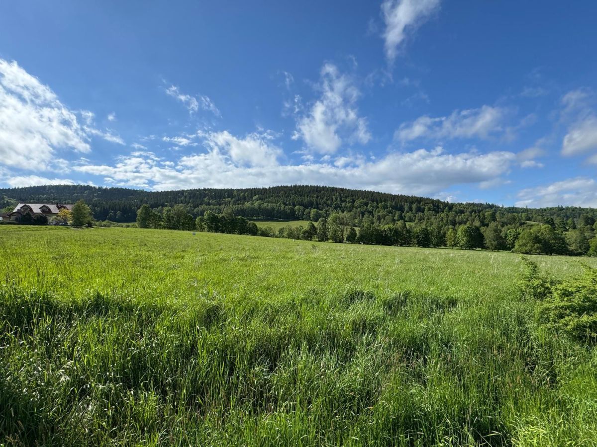 Działka budowlana Stronie Śląskie. Zdjęcie 3