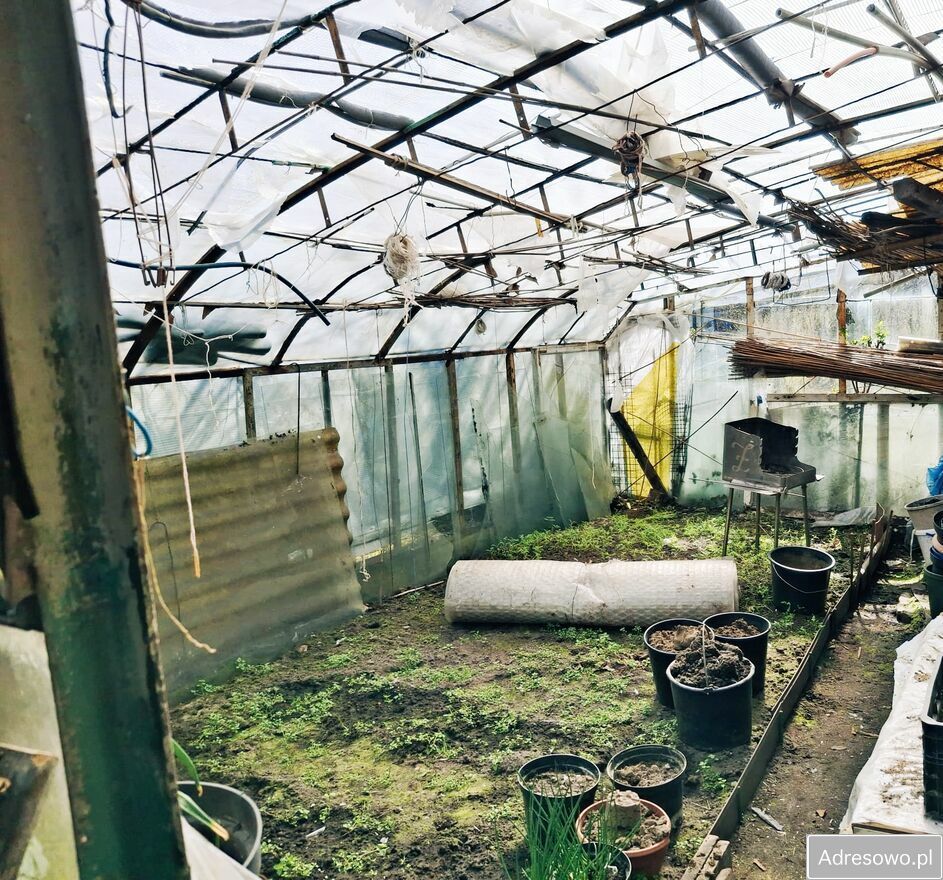 Działka rod Szczecin. Zdjęcie 3