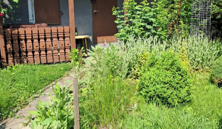 Działka rod Gliwice Ostropa, ul. Tokarska