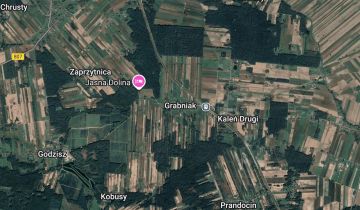 Działka rolna Grabniak, Brak