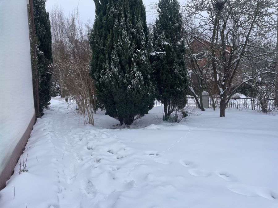 dom szeregowy, 7 pokoi Gdańsk Osowa, ul. Bereniki. Zdjęcie 5