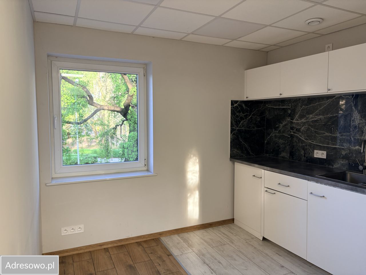 Lokal Zielona Góra Centrum, ul. Stanisława Moniuszki. Zdjęcie 3