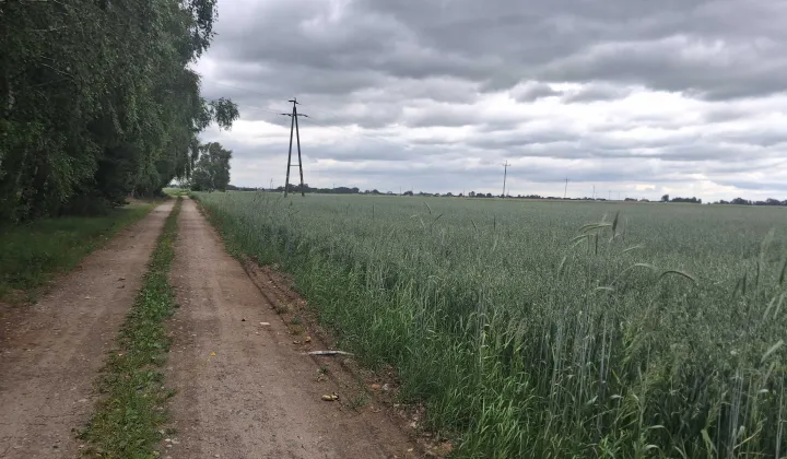 Działka budowlana Oleśnica
