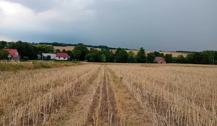 Działka rolna Zaryszyn