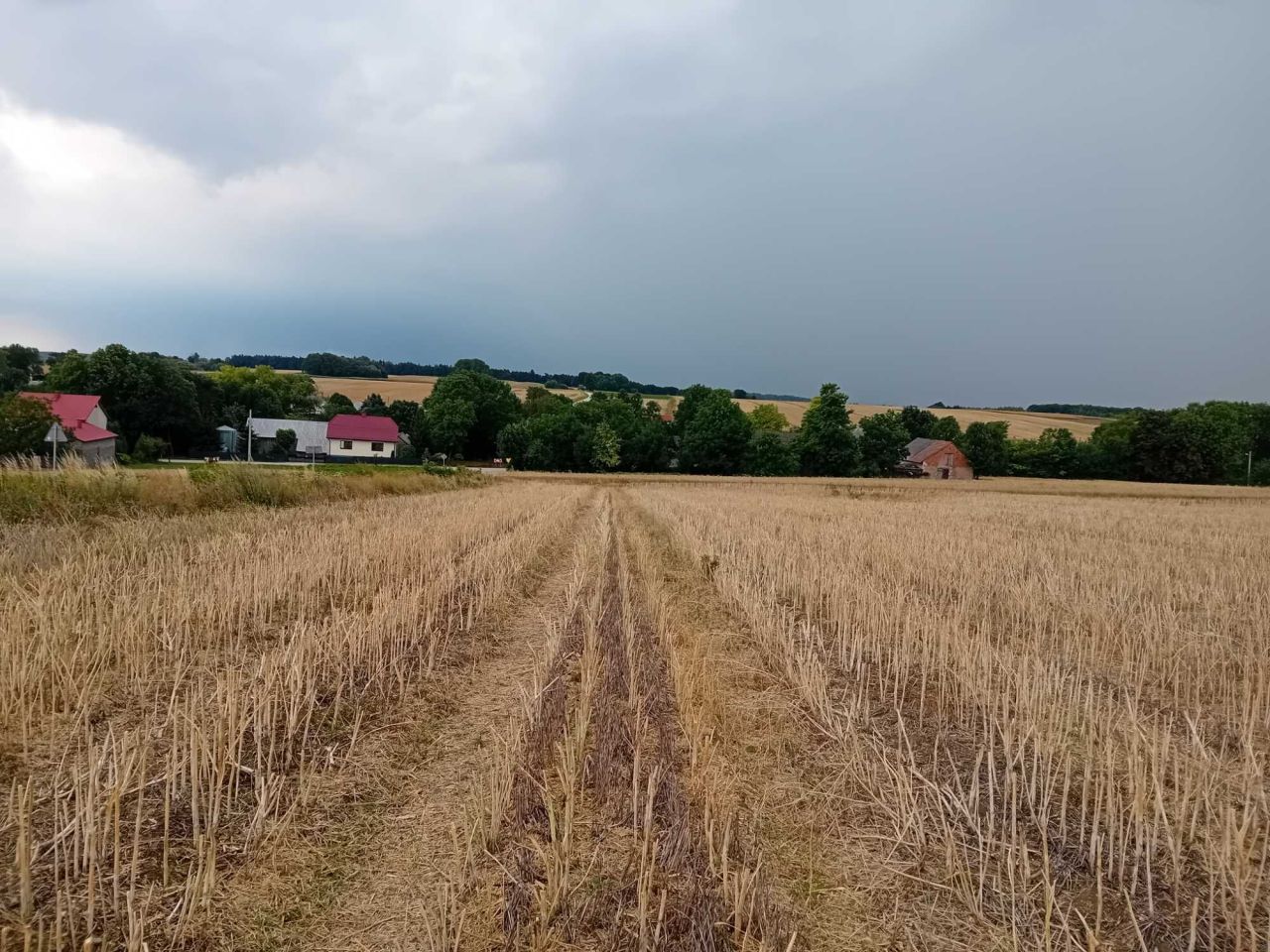 Działka rolna Zaryszyn. Zdjęcie 1