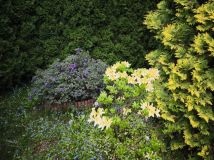 Działka rod Warszawa Białołęka Dworska, ul. Cieślewskich. Zdjęcie 3