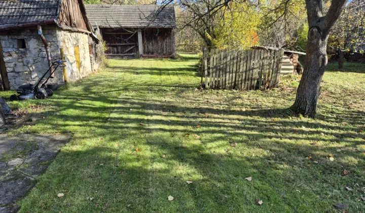 Działka rolno-budowlana Sadek