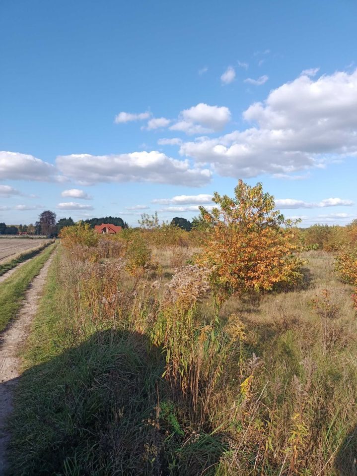 Działka rolno-budowlana Dzierżązna, ul. Akacjowa