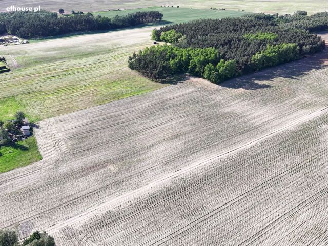 Działka rolna Józefinka. Zdjęcie 8
