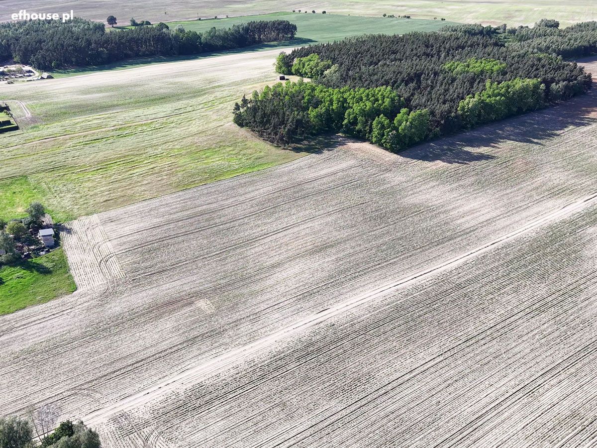 Działka rolna Józefinka. Zdjęcie 8