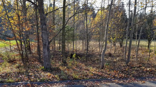 Działka budowlana Goleniawy. Zdjęcie 1