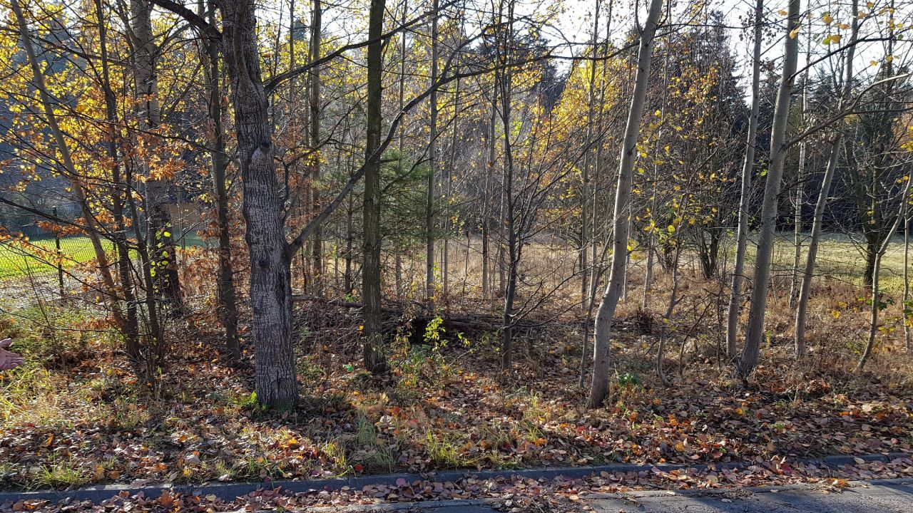 Działka budowlana Goleniawy