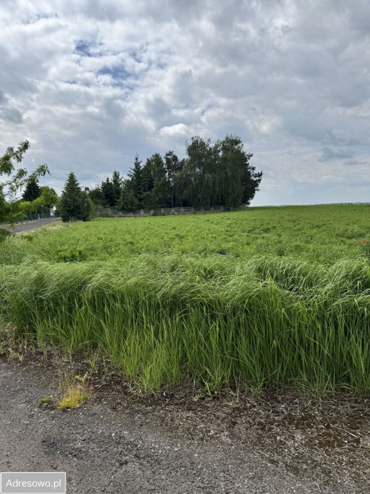 Działka inwestycyjna Brzostek. Zdjęcie 2