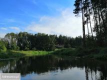 Działka rekreacyjna Zakrzówek Szlachecki. Zdjęcie 3