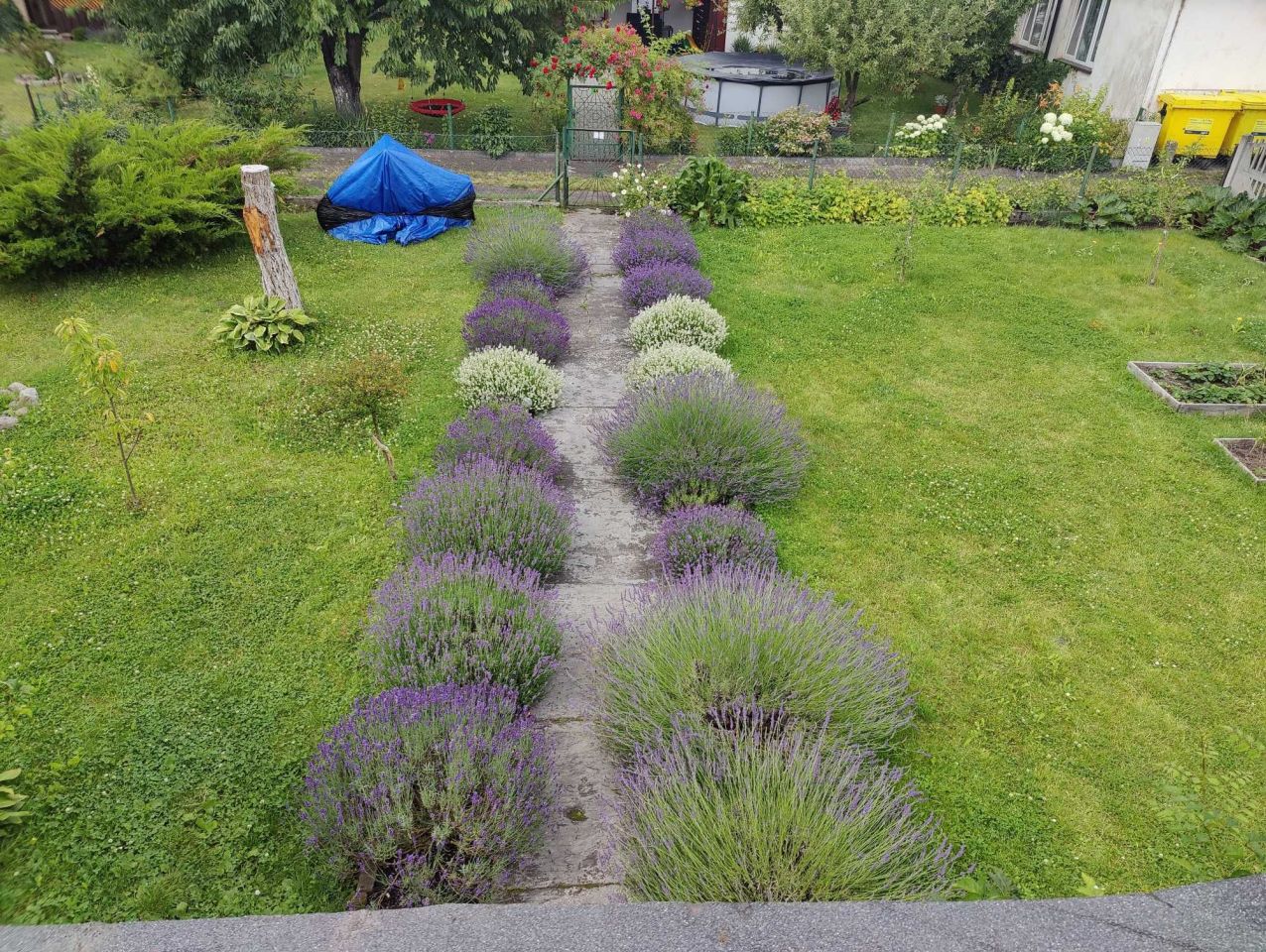 Działka rod Grudziądz, ul. Alojzego Ruchniewicza. Zdjęcie 6