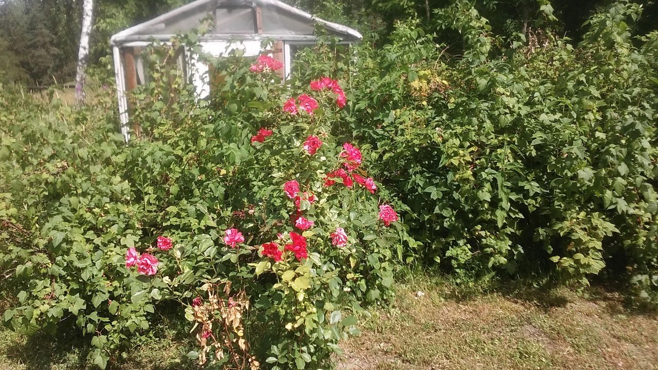 Działka inna Wólka, Wólka. Zdjęcie 7