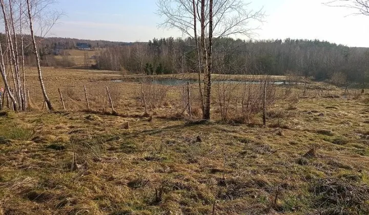 Działka budowlana Pomlewo, ul. Jodłowa