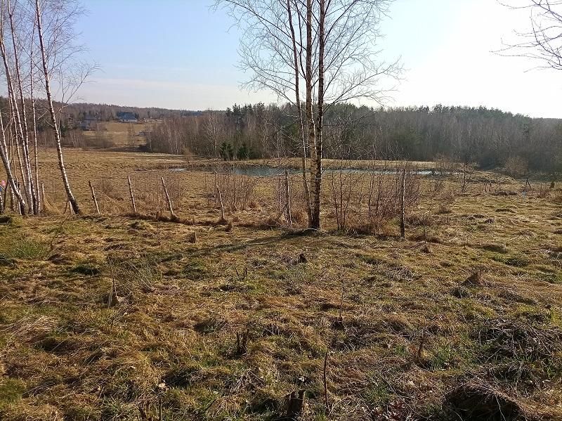 Działka budowlana Pomlewo, ul. Jodłowa. Zdjęcie 1