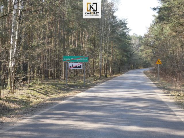 Działka budowlana Budy Wielgoleskie. Zdjęcie 1