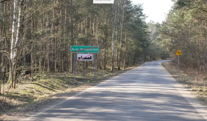 Działka budowlana Budy Wielgoleskie