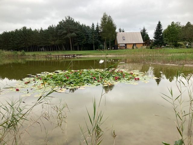 Działka budowlana Nowe Krasnodęby. Zdjęcie 1