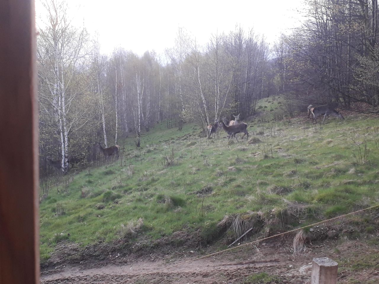 Działka budowlana Piechowice, ul. Skalna. Zdjęcie 10