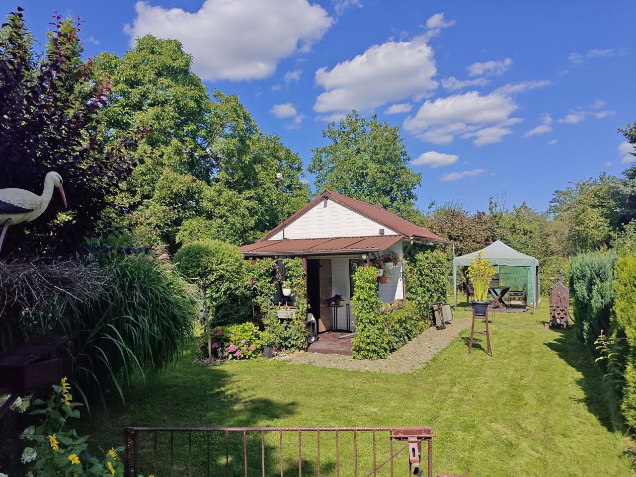 Działka rod Gdańsk Olszynka, ul. Olszyńska