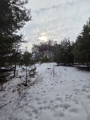 dom wolnostojący, 3 pokoje Budy Zaklasztorne. Zdjęcie 8