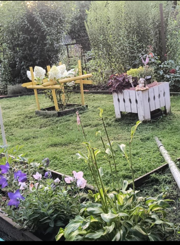 Działka rod Włocławek Lisek, ul. Jastrzębia. Zdjęcie 5