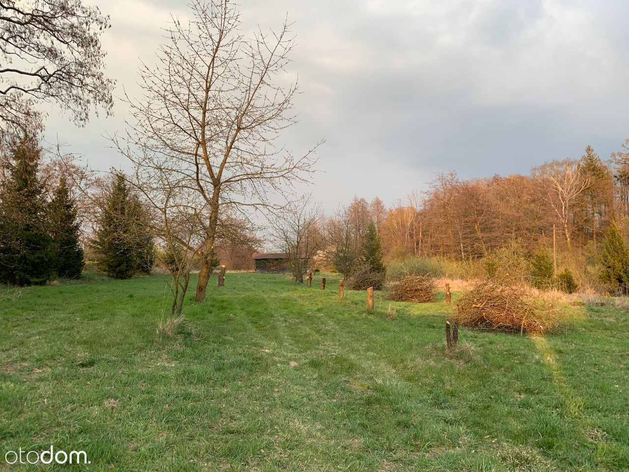 Działka rolno-budowlana Lwowiany, Glowna. Zdjęcie 8