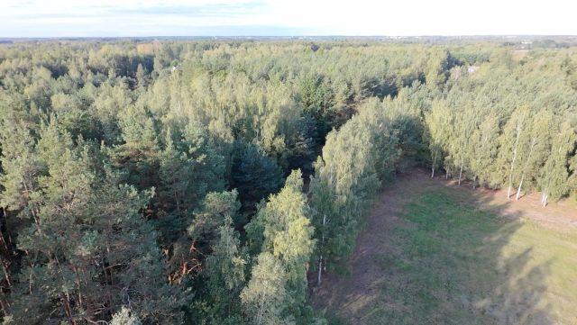 Działka budowlana Korzeniówka. Zdjęcie 1