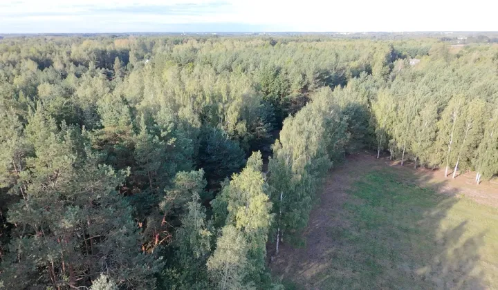 Działka budowlana Korzeniówka